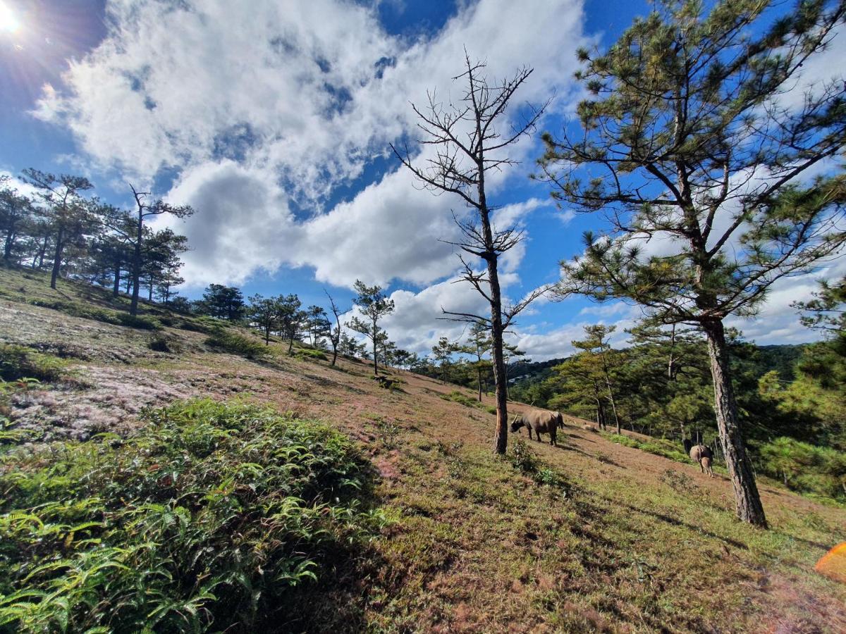 Mon Bac Home Dalat Exteriér fotografie